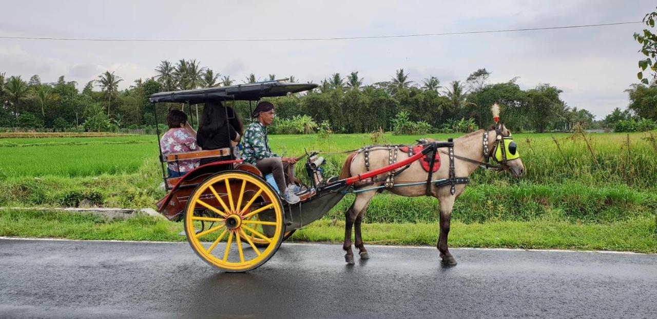 Borobudur Bed & Breakfast Magelang Kültér fotó